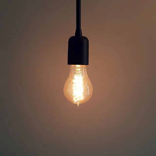 Energy efficient lightbulb in black ceiling mount
